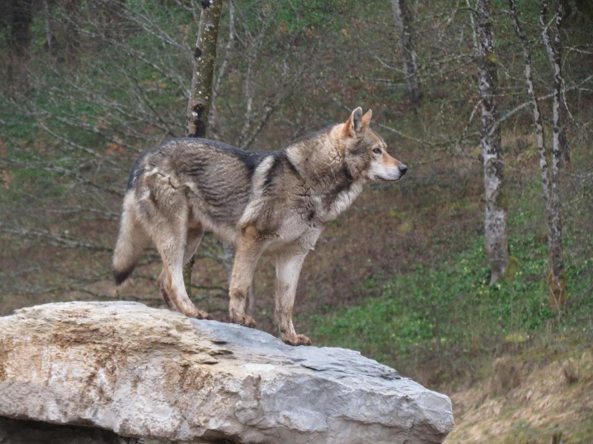 Willa Parc Animalier Du Herisson Doucier Zewnętrze zdjęcie