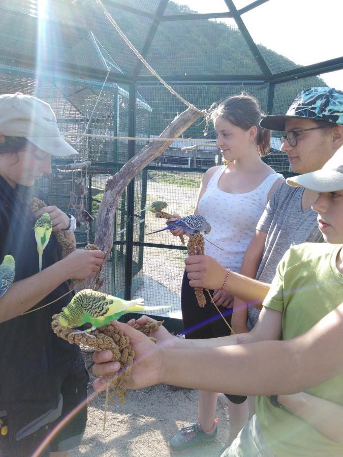 Willa Parc Animalier Du Herisson Doucier Zewnętrze zdjęcie