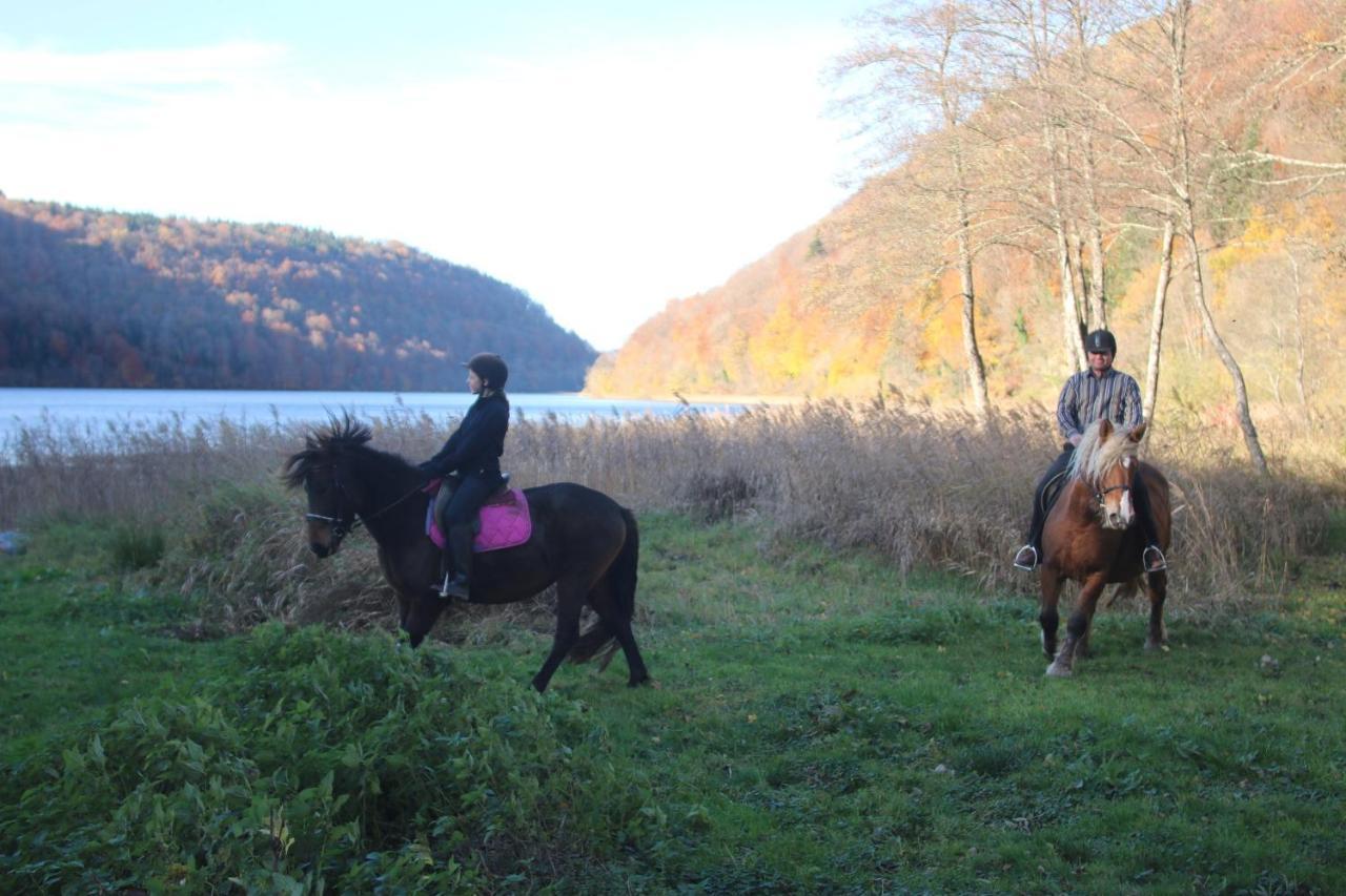 Willa Parc Animalier Du Herisson Doucier Zewnętrze zdjęcie