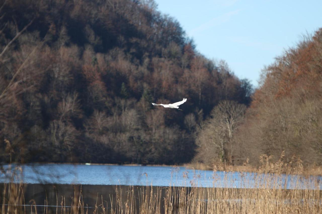 Willa Parc Animalier Du Herisson Doucier Zewnętrze zdjęcie