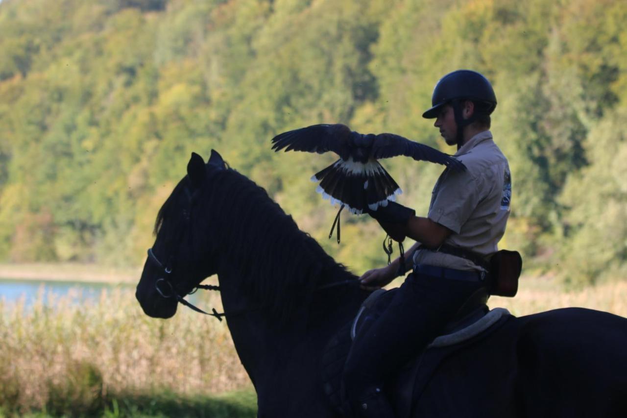 Willa Parc Animalier Du Herisson Doucier Zewnętrze zdjęcie