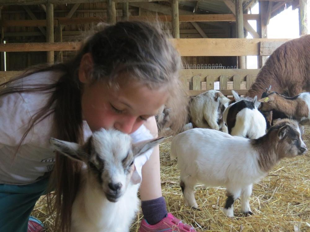 Willa Parc Animalier Du Herisson Doucier Zewnętrze zdjęcie