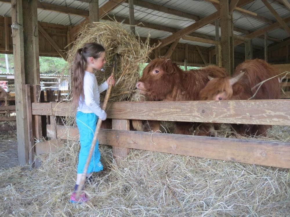 Willa Parc Animalier Du Herisson Doucier Zewnętrze zdjęcie
