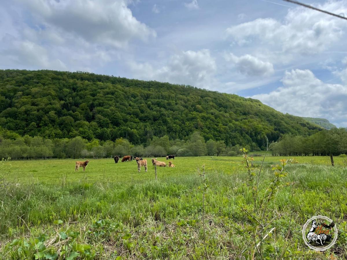 Willa Parc Animalier Du Herisson Doucier Zewnętrze zdjęcie