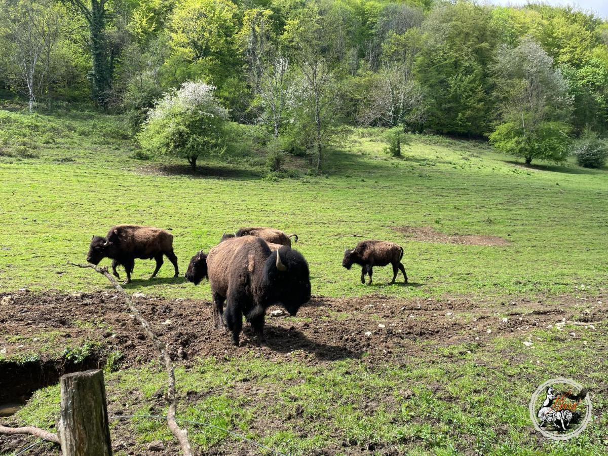 Willa Parc Animalier Du Herisson Doucier Zewnętrze zdjęcie